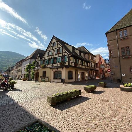 Coeur D'Alsace Lägenhet Kaysersberg-Vignoble Exteriör bild