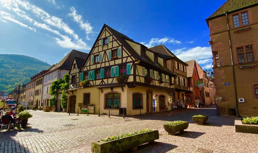Coeur D'Alsace Lägenhet Kaysersberg-Vignoble Exteriör bild